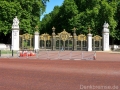 10 Buckingham Palace 017